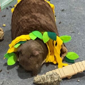 Meet your Posher, James